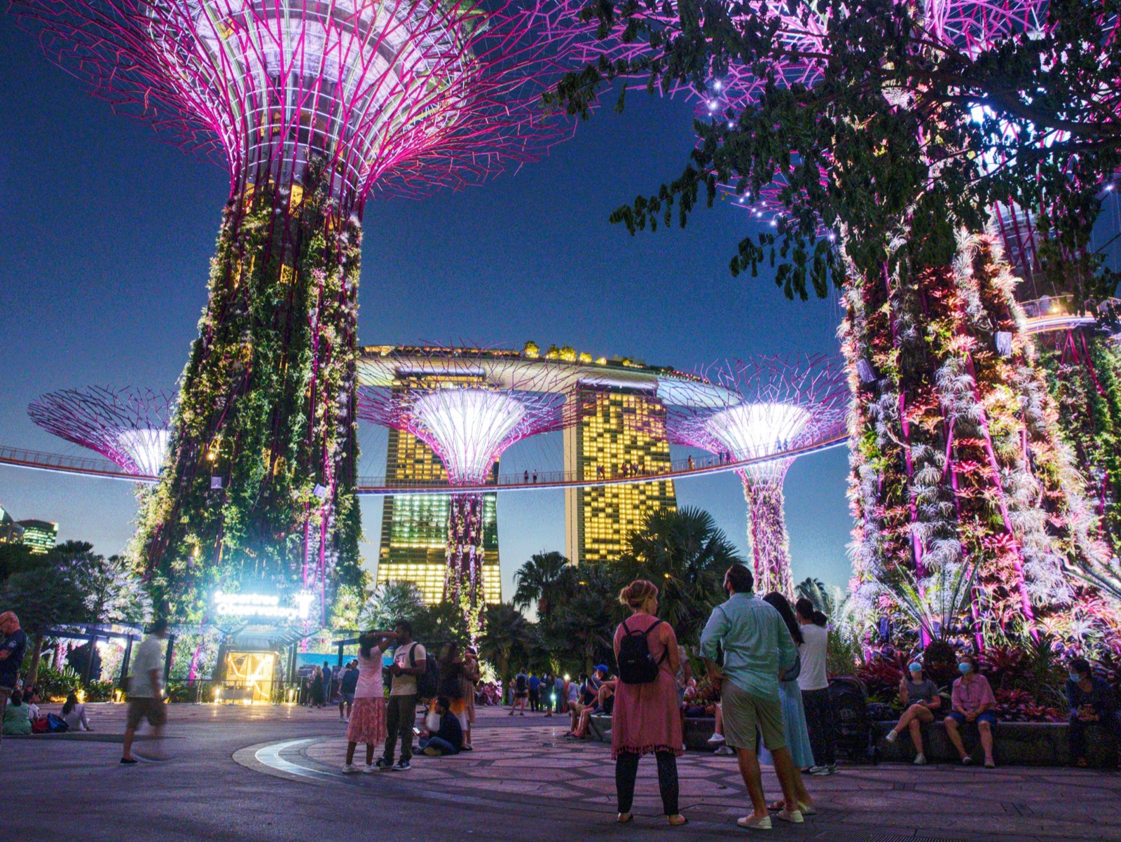 Marina Bay City Experience + Lau Pa Sat