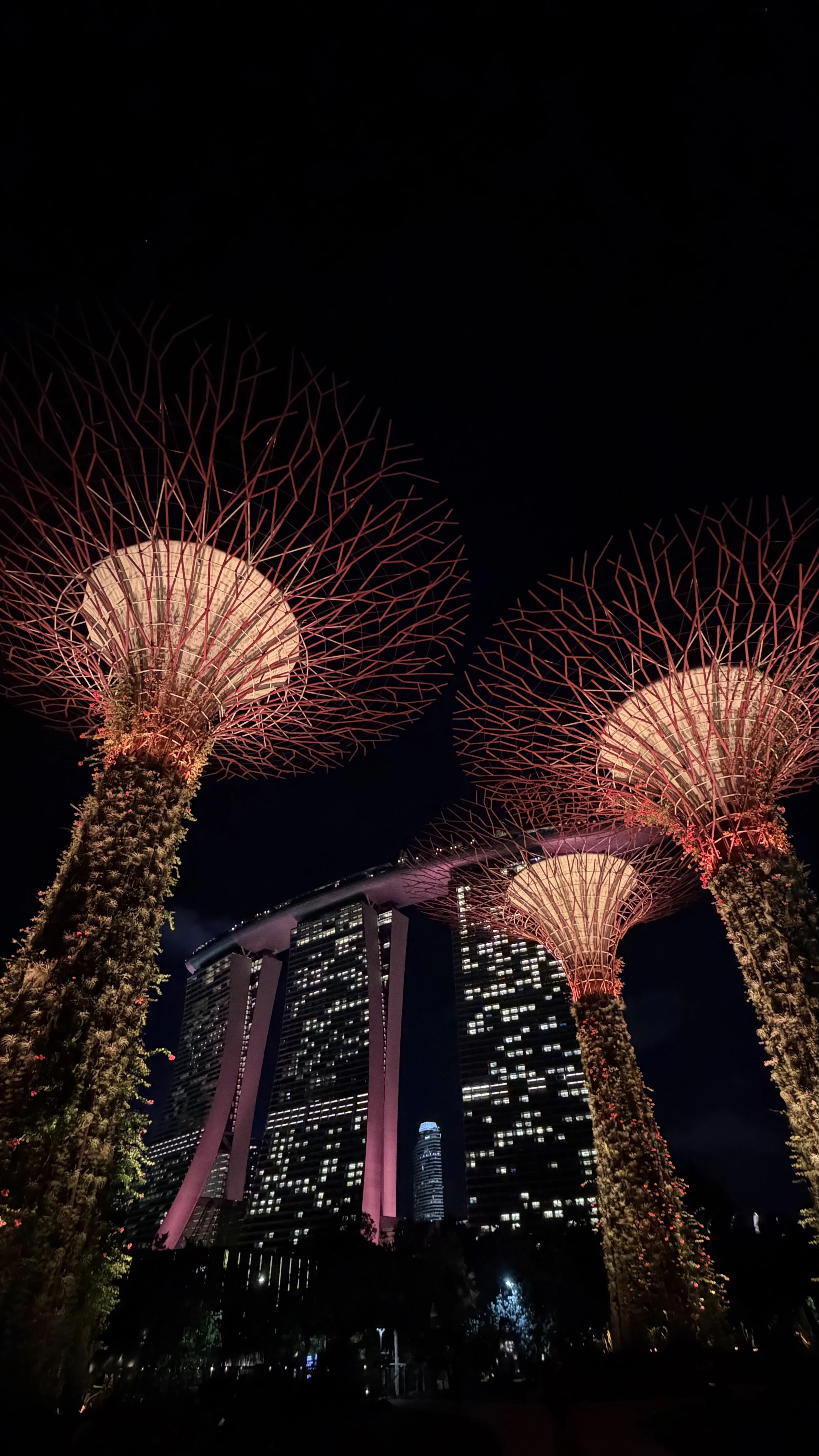 River Hongbao festive lights reflected across the park